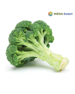7236